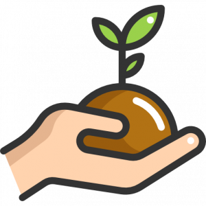 sprout-1